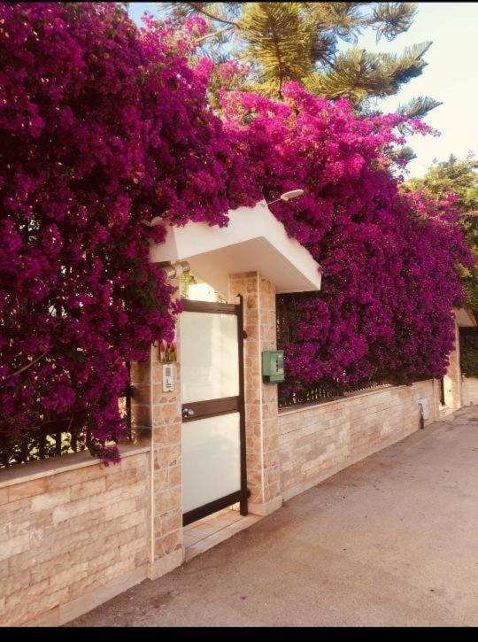 דירות בארי Tulipano Rosso מראה חיצוני תמונה